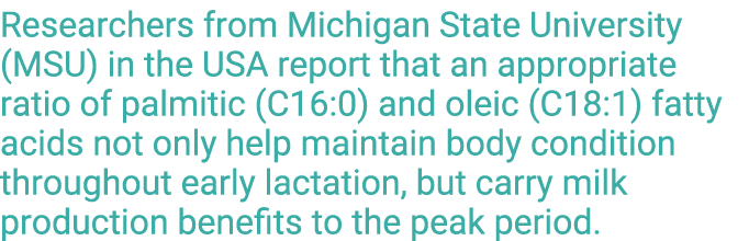 Researchers from Michigan State University (MSU) in the USA report that an appropriate ratio of palmitic (C16:0) and    