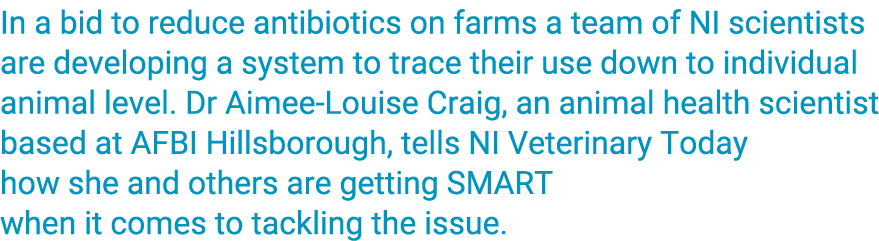 In a bid to reduce antibiotics on farms a team of NI scientists are developing a system to trace their use down to in   