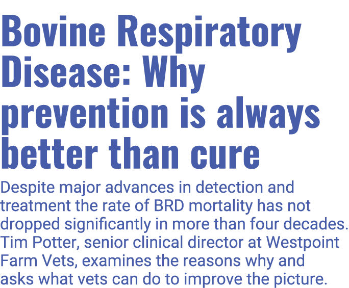 Bovine Respiratory Disease: Why prevention is always better than cure Despite major advances in detection and treatme   