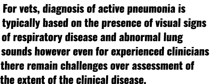 For vets, diagnosis of active pneumonia is typically based on the presence of visual signs of respiratory disease and   