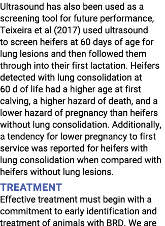 Ultrasound has also been used as a screening tool for future performance, Teixeira et al (2017) used ultrasound to sc   