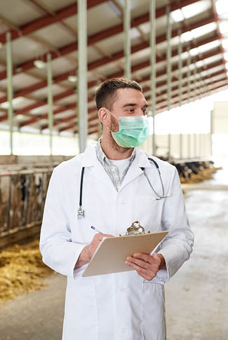 agriculture industry, farming and animal husbandry concept - veterinarian or doctor with clipboard wearing medical mask for protection from virus disease over herd of cows in cowshed on dairy farm