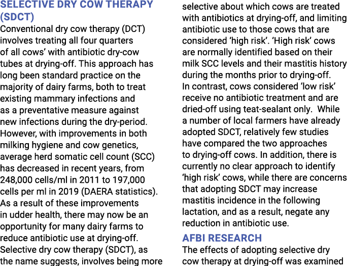 Selective dry cow therapy (SDCT) Conventional dry cow therapy (DCT) involves treating all four quarters of all cows     