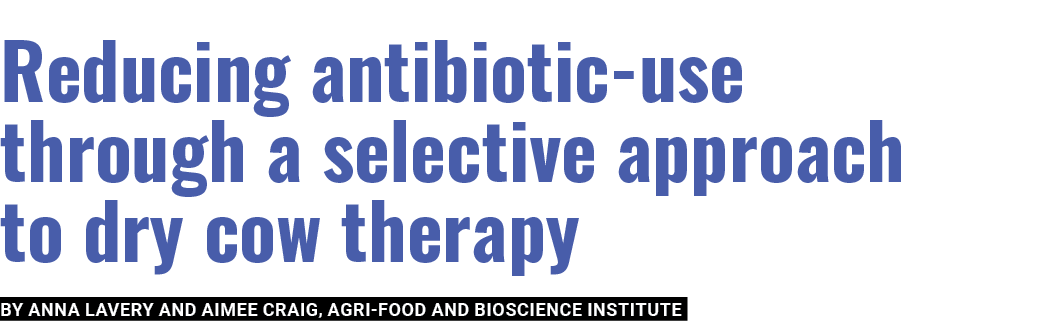 Reducing antibiotic-use through a selective approach to dry cow therapy By Anna Lavery and Aimee Craig, Agri-Food and   