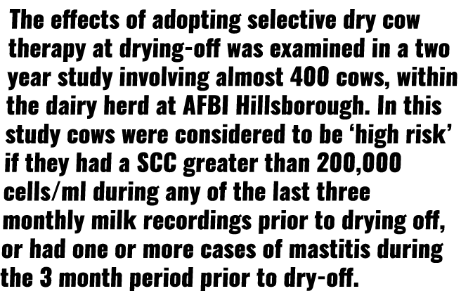 The effects of adopting selective dry cow therapy at drying-off was examined in a two year study involving almost 400   