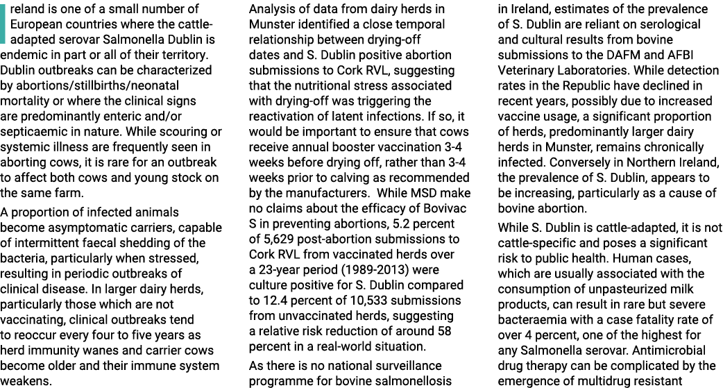 Ireland is one of a small number of European countries where the cattle-adapted serovar Salmonella Dublin is endemic    