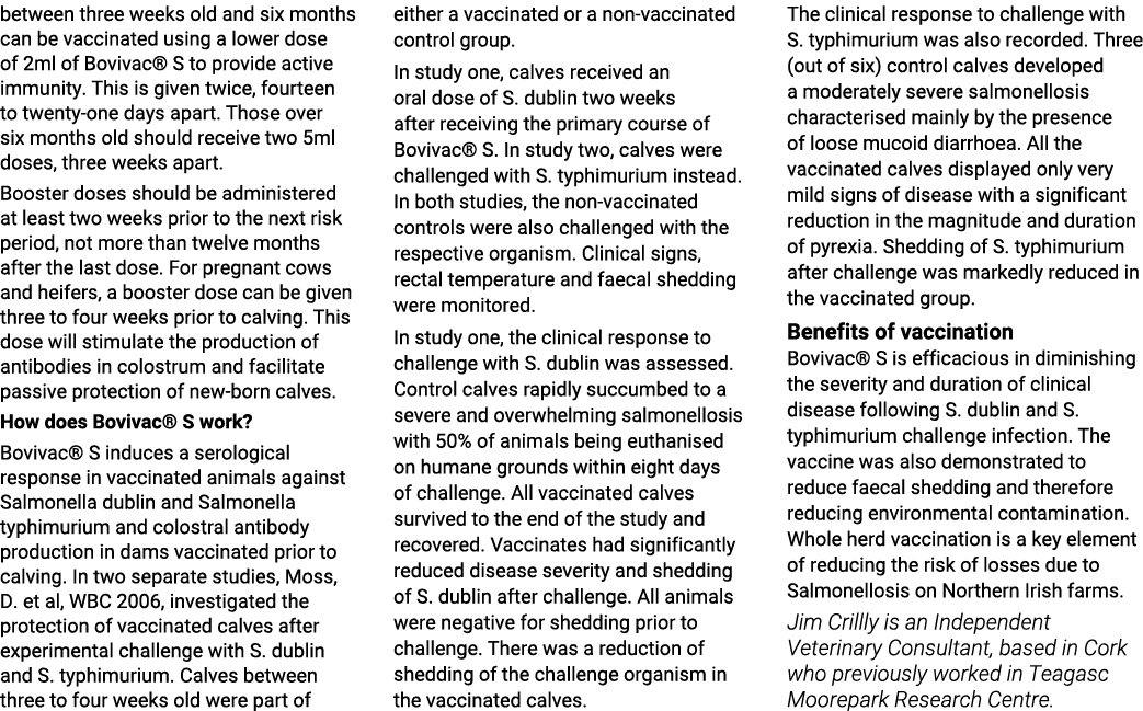 between three weeks old and six months can be vaccinated using a lower dose of 2ml of Bovivac  S to provide active im   