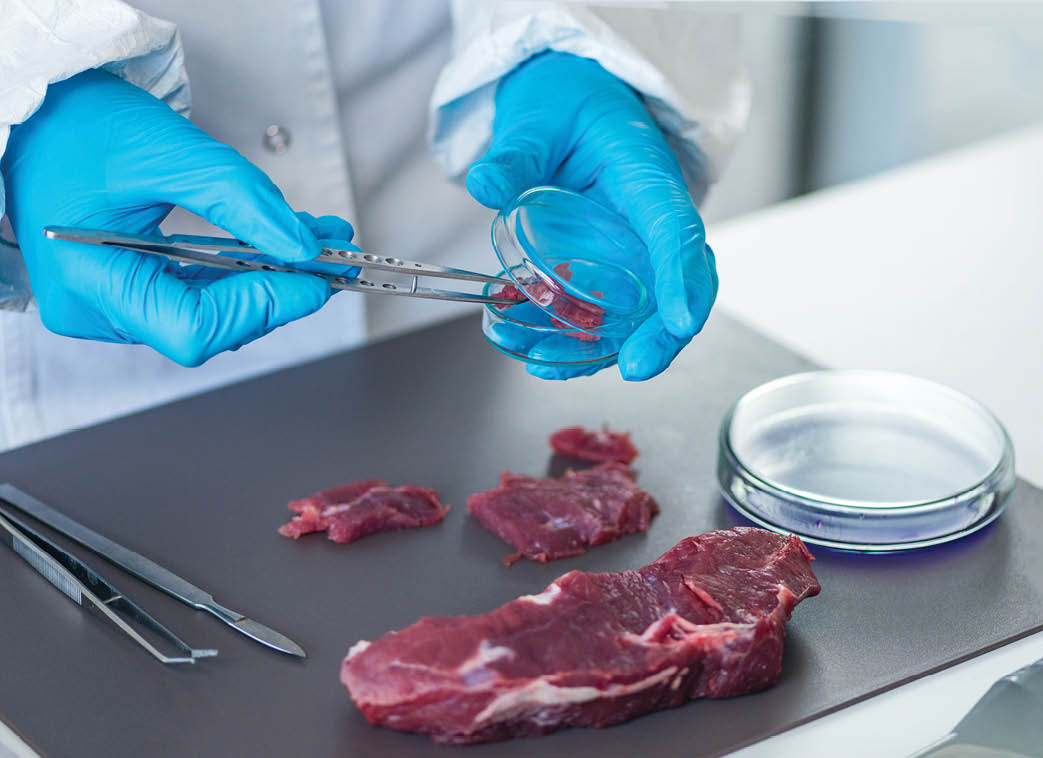 Food safety expert inspecting red meat in laboratory