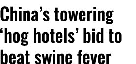 China s towering  hog hotels  bid to beat swine fever 