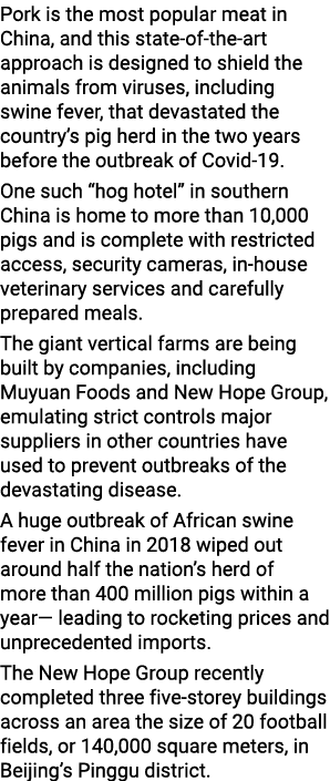 Pork is the most popular meat in China, and this state-of-the-art approach is designed to shield the animals from vir   