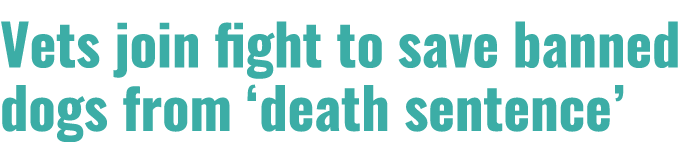 Vets join fight to save banned dogs from  death sentence  