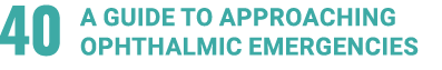 40 A guide to approaching ophthalmic emergencieS