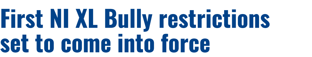 First NI XL Bully restrictions set to come into force 