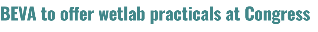 BEVA to offer wetlab practicals at Congress 