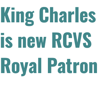 King Charles is new RCVS Royal Patron 