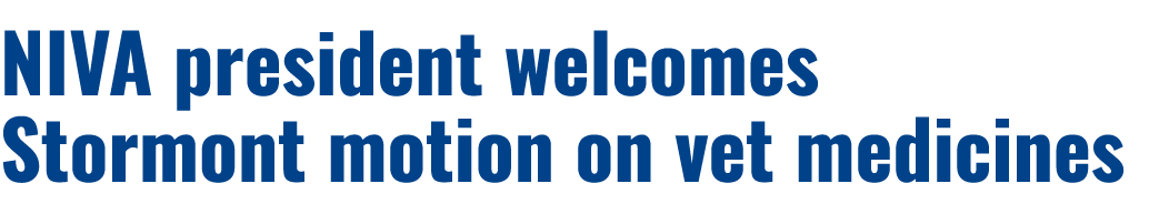 NIVA president welcomes Stormont motion on vet medicines 