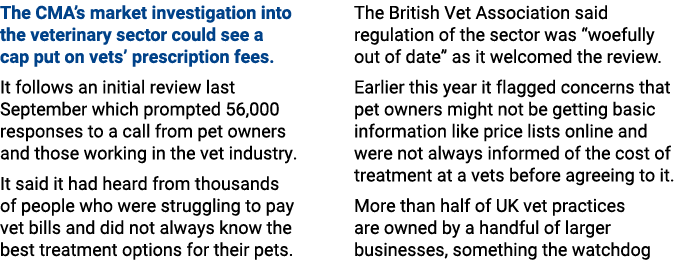 The CMA’s market investigation into the veterinary sector could see a cap put on vets’ prescription fees. It follows ...