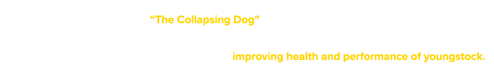 The small animal programme features two prominent lecturers in Cardiology and Neurology, who will address the theme o...