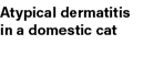Atypical dermatitis in a domestic cat