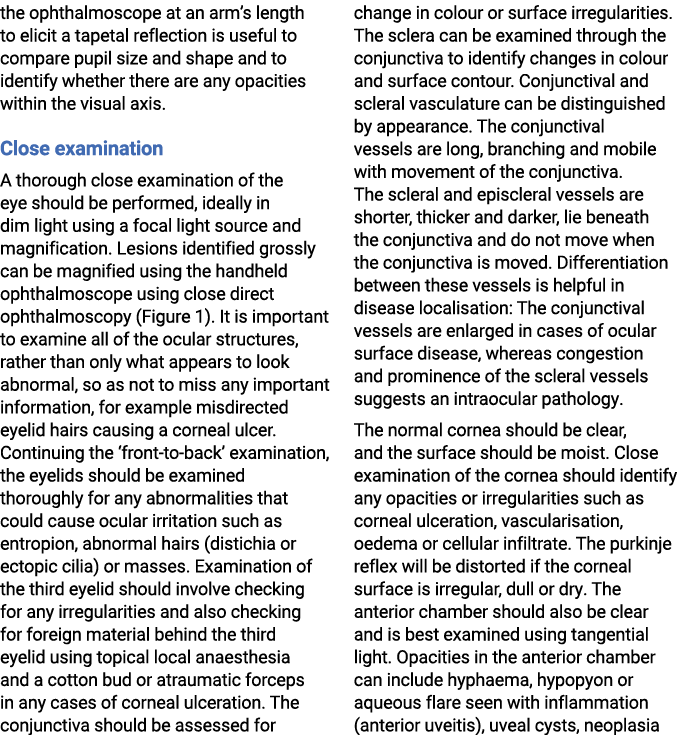 the ophthalmoscope at an arm’s length to elicit a tapetal reflection is useful to compare pupil size and shape and to...