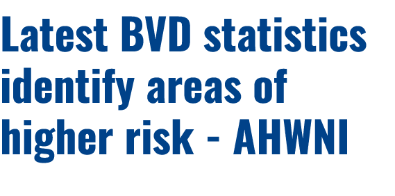 Latest BVD statistics identify areas of higher risk AHWNI 