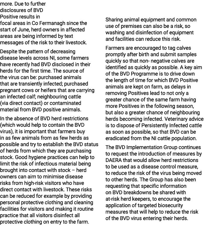 more. Due to further disclosures of BVD Positive results in focal areas in Co Fermanagh since the start of June, herd...