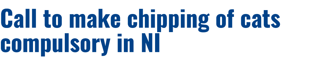 Call to make chipping of cats compulsory in NI