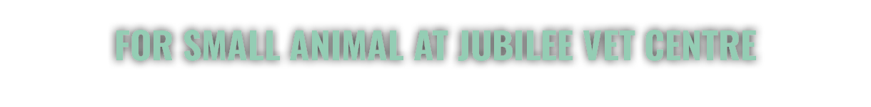 for small animal at Jubilee Vet Centre