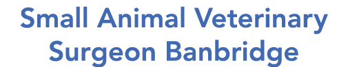Small Animal Veterinary Surgeon Banbridge