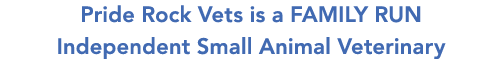 Pride Rock Vets is a family run Independent Small Animal Veterinary