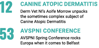 12 Canine Atopic Dermatitis Derm Vet NI’s Aoife Morrow unpacks the sometimes complex subject of Canine Atopic Dermati...