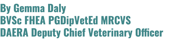 By Gemma Daly BVSc FHEA PGDipVetEd MRCVS DAERA Deputy Chief Veterinary Officer 