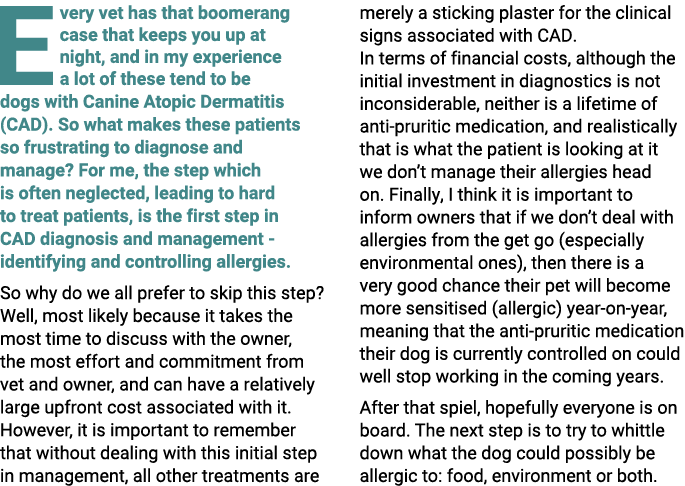 E very vet has that boomerang case that keeps you up at night, and in my experience a lot of these tend to be dogs wi...