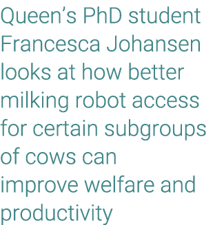 Queen’s PhD student Francesca Johansen looks at how better milking robot access for certain subgroups of cows can imp...