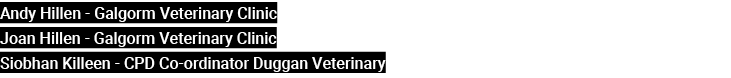 Andy Hillen Galgorm Veterinary Clinic Joan Hillen Galgorm Veterinary Clinic Siobhan Killeen CPD Co ordinator Duggan V...