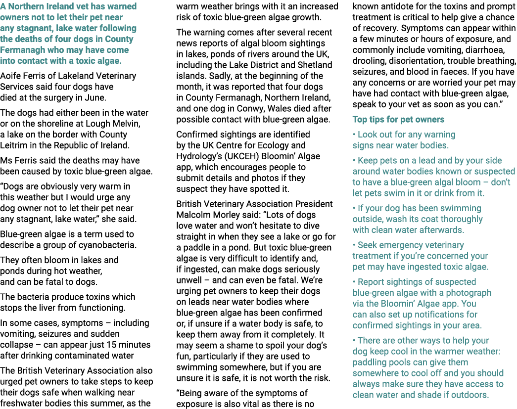 A Northern Ireland vet has warned owners not to let their pet near any stagnant, lake water following the deaths of f...