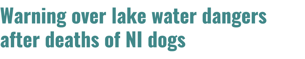 Warning over lake water dangers after deaths of NI dogs