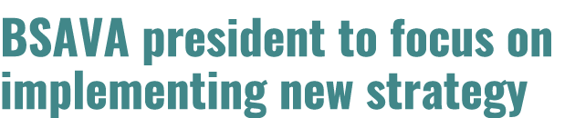 BSAVA president to focus on implementing new strategy