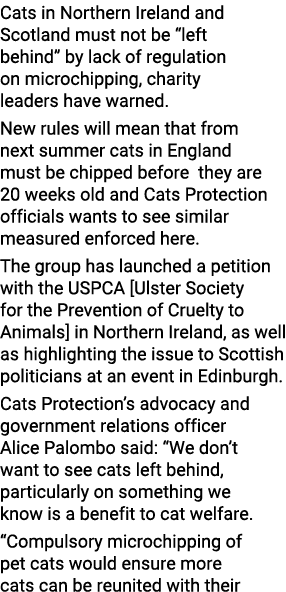 Cats in Northern Ireland and Scotland must not be “left behind” by lack of regulation on microchipping, charity leade...