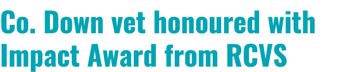 Co. Down vet honoured with Impact Award from RCVS 