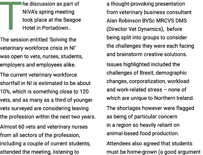 The discussion as part of NIVA’s spring meeting took place at the Seagoe Hotel in Portadown.. The session entitled ‘S...