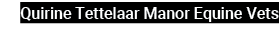 Quirine Tettelaar Manor Equine Vets 