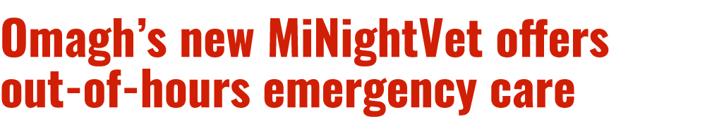 Omagh’s new MiNightVet offers out of hours emergency care