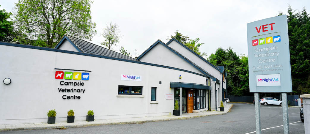 CVS Group 44638 MiNight Vets Omagh