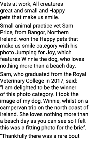 Vets at work, All creatures great and small and Happy pets that make us smile. Small animal practice vet Sam Price, f...