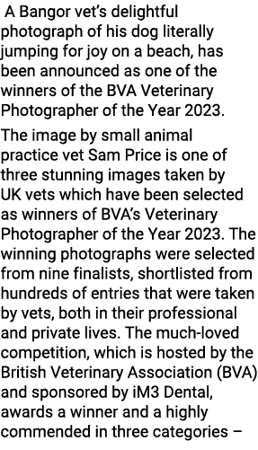  A Bangor vet’s delightful photograph of his dog literally jumping for joy on a beach, has been announced as one of t...