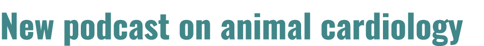 New podcast on animal cardiology