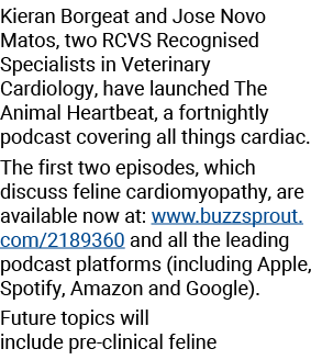 Kieran Borgeat and Jose Novo Matos, two RCVS Recognised Specialists in Veterinary Cardiology, have launched The Anima...