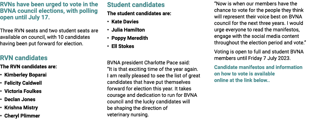 RVNs have been urged to vote in the BVNA council elections, with polling open until July 17. Three RVN seats and two ...