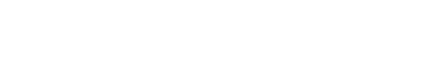 Voting open for BVNA Council elections